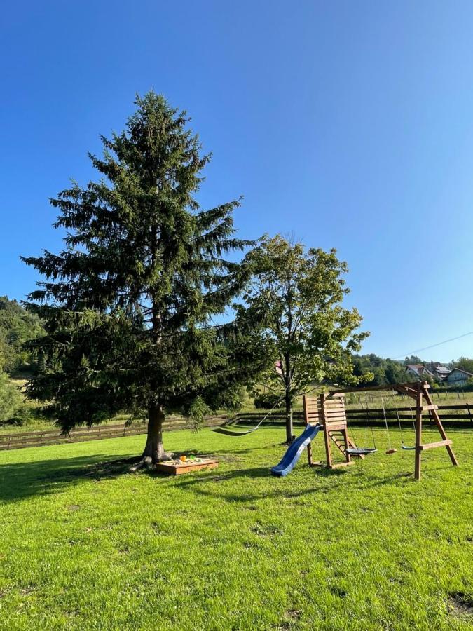 Dwie Lipy Wakacyjne Holiday home Zlatna