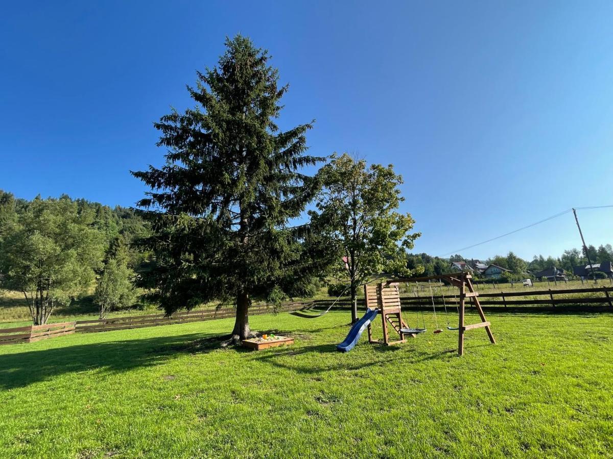 Dwie Lipy Wakacyjne Holiday home Zlatna