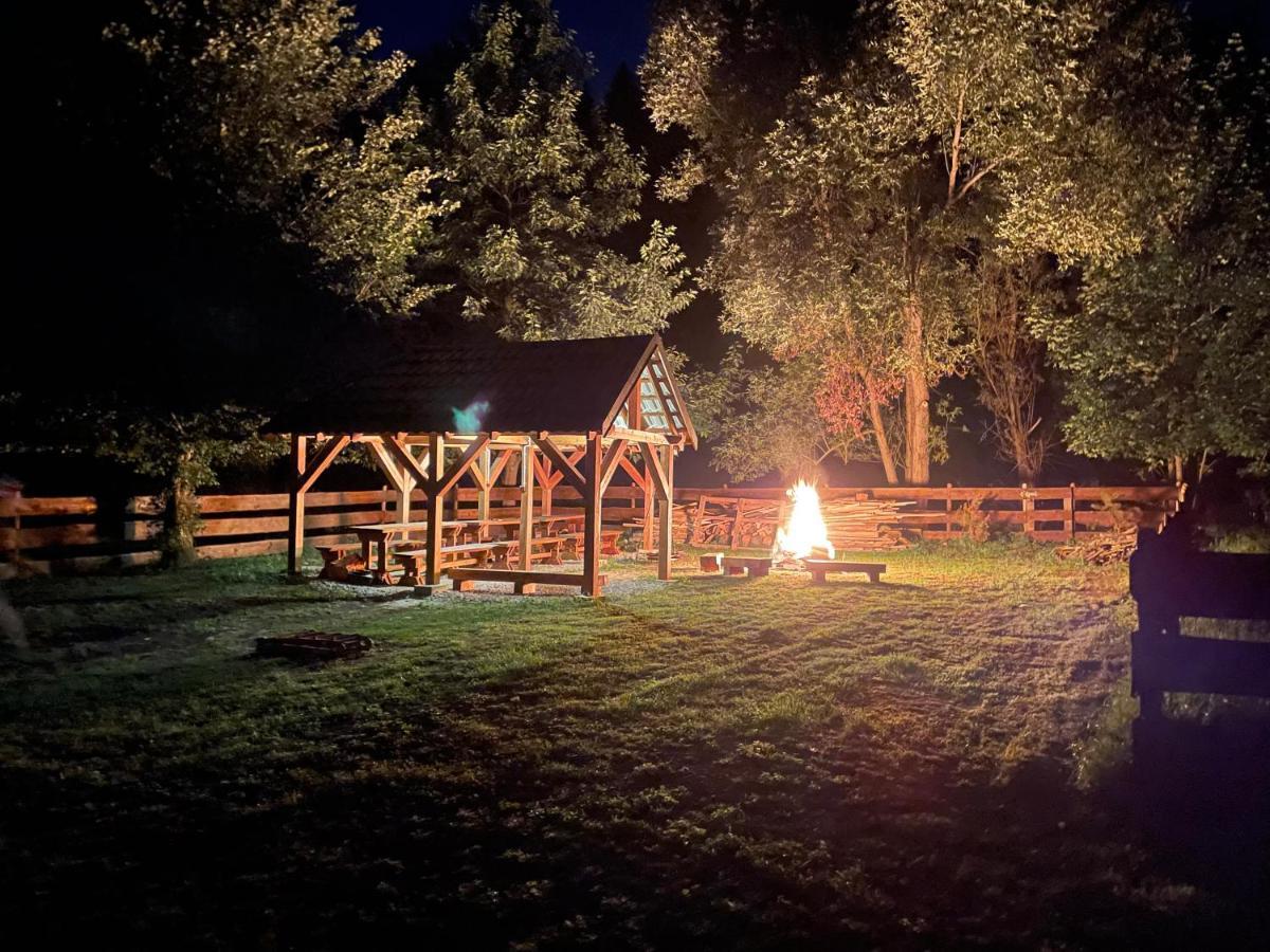 Holiday home Dwie Lipy Wakacyjne Zlatna