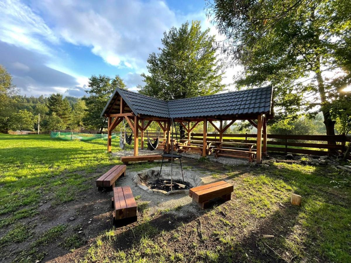 Dwie Lipy Wakacyjne Holiday home Zlatna