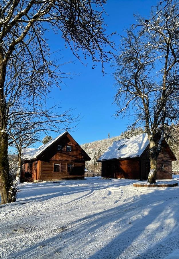 Holiday home Dwie Lipy Wakacyjne Zlatna